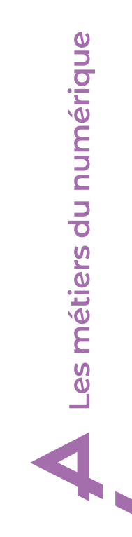 Licence Professionnelle : Métiers du numérique